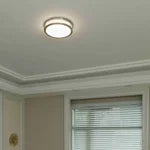 Energetic Lighting 14" LED Flush Mount Light Fixture