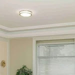 Energetic Lighting 14" Led Flush Mount Light Fixture