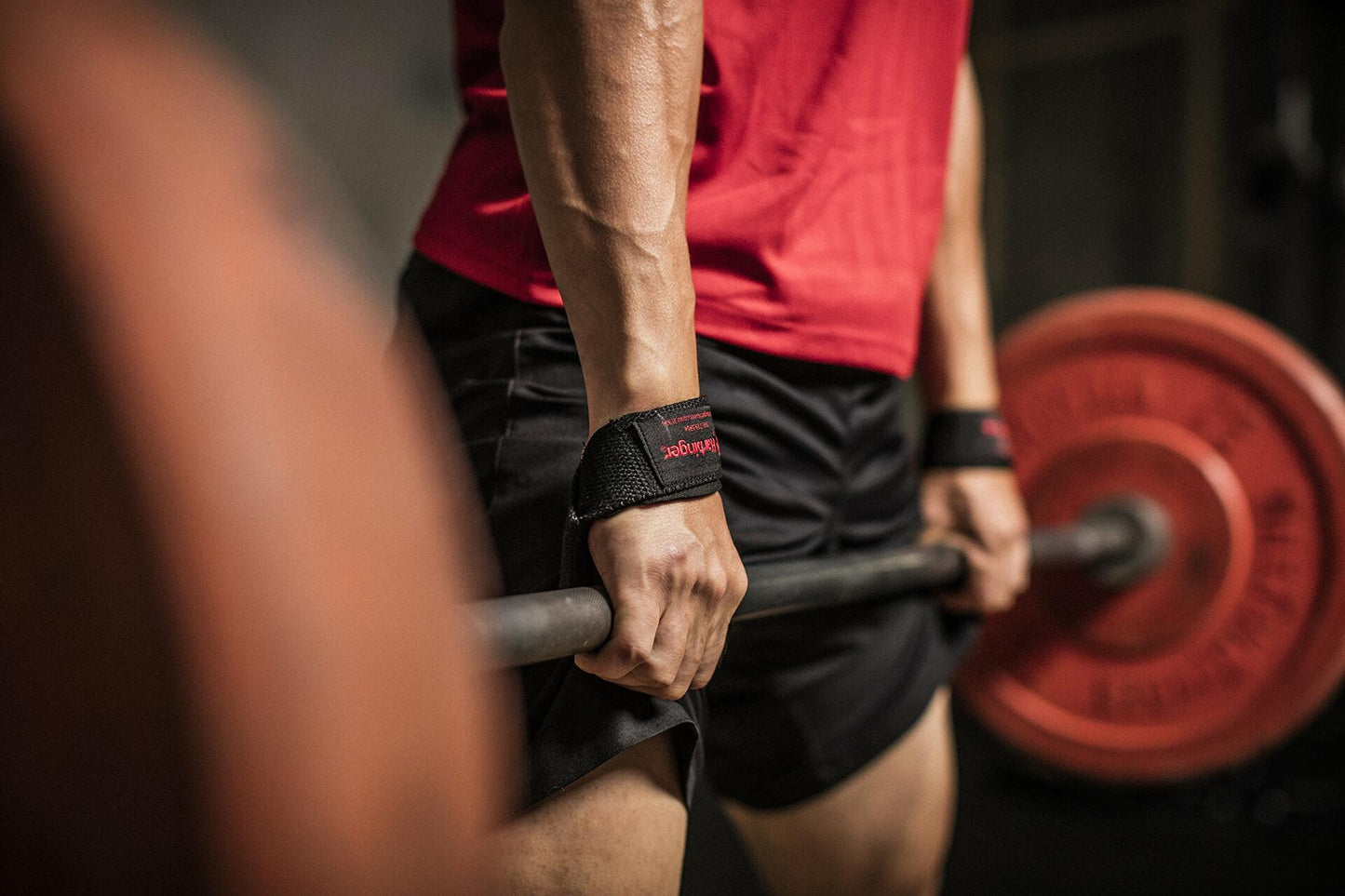 Padded Straps for Lifting by Harbinger