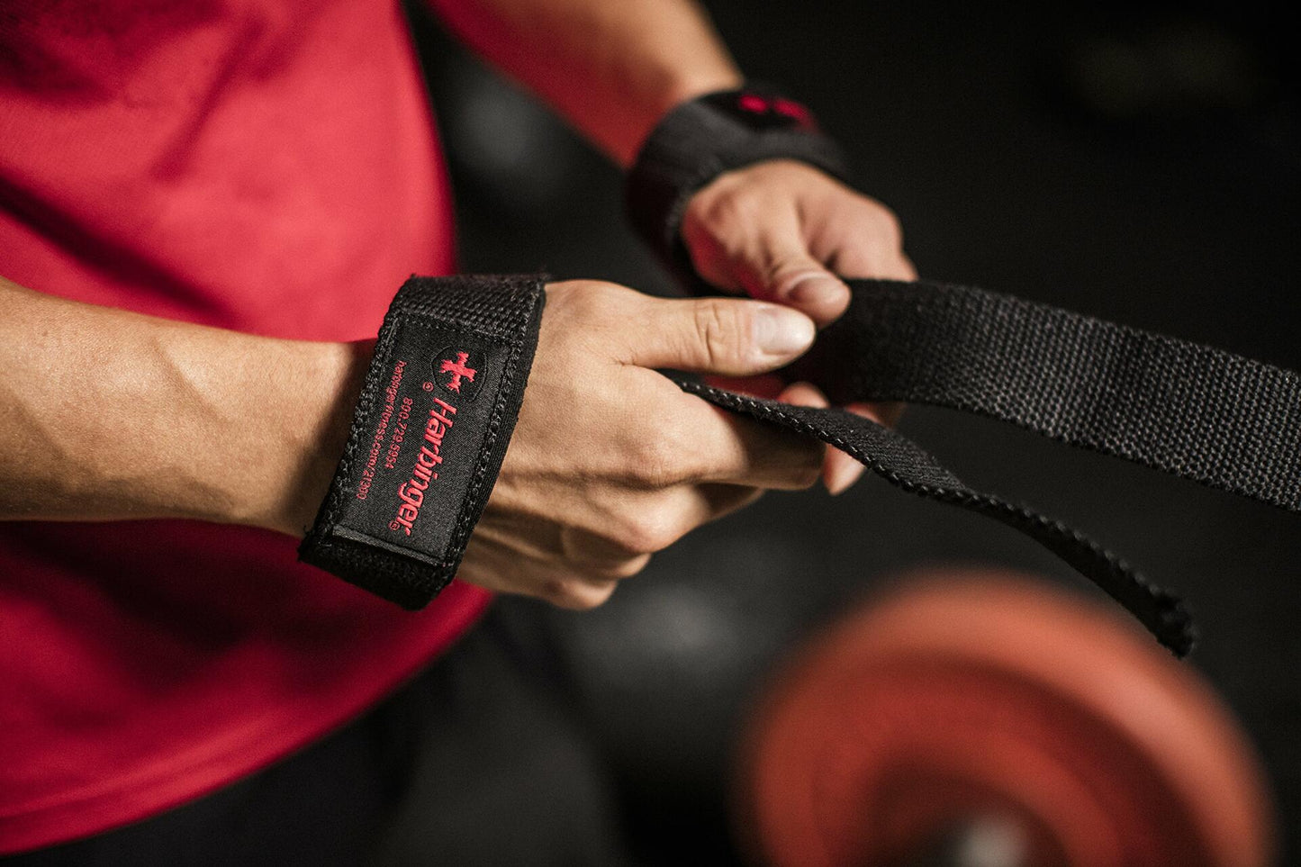 Padded Straps for Lifting by Harbinger