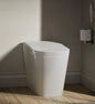 Kohler Toilet Fora